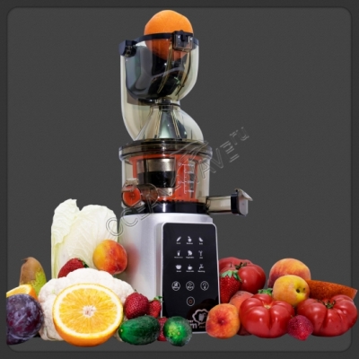 Шнековая соковыжималка Dream Juicer Modern JDM-80 - купить в интернет-магазине OCEAN-WAVE.ru