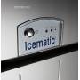 Льдогенератор Icematic E21 W - купить в интернет-магазине OCEAN-WAVE.ru