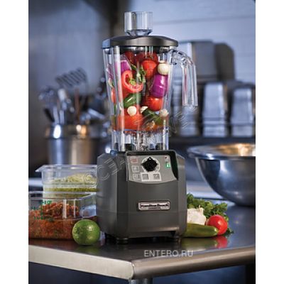 Блендер Hamilton Beach HBF600 - купить в интернет-магазине OCEAN-WAVE.ru
