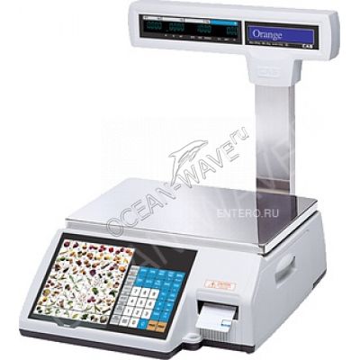 Весы торговые CAS CL5000-15P TCP-IP - купить в интернет-магазине OCEAN-WAVE.ru