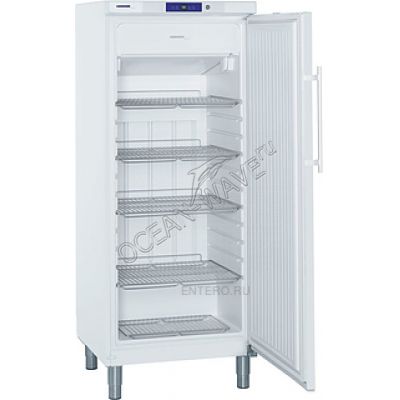 Шкаф морозильный Liebherr GGv 5010 - купить в интернет-магазине OCEAN-WAVE.ru