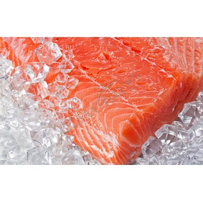 Льдогенератор Icematic F125С A - купить в интернет-магазине OCEAN-WAVE.ru