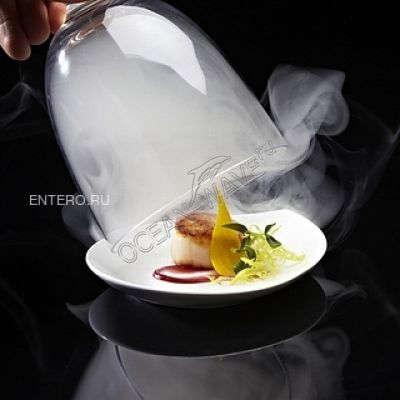 Коптильный пистолет PolyScience SG2-PSC - купить в интернет-магазине OCEAN-WAVE.ru