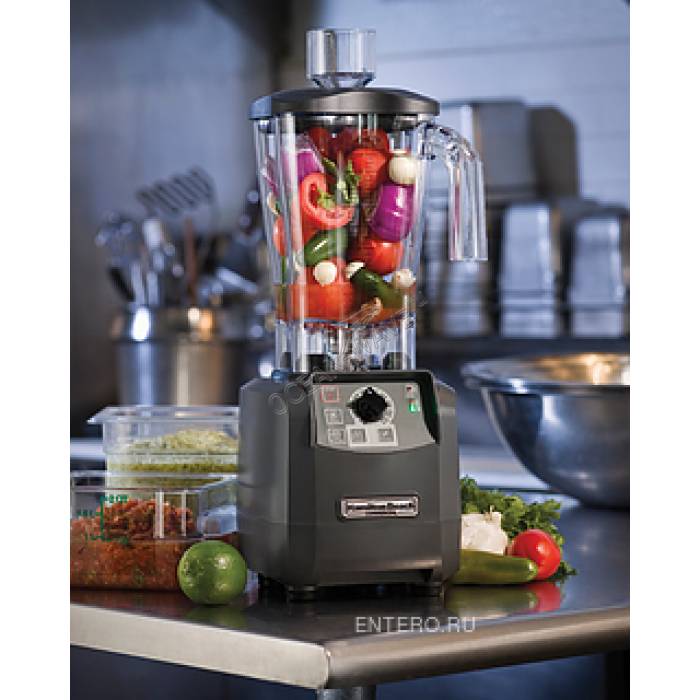 Блендер Hamilton Beach HBF600 - купить в интернет-магазине OCEAN-WAVE.ru