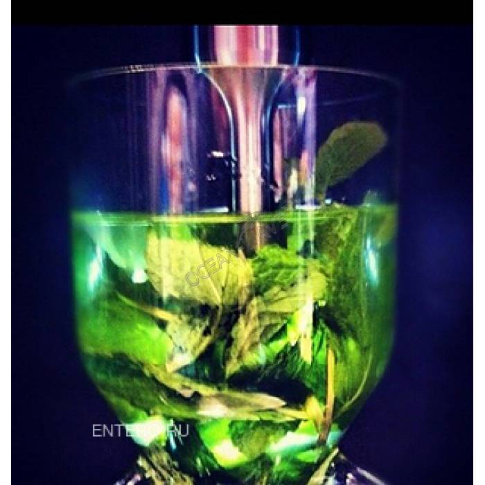 Гомогенизатор ультразвуковой PolyScience Sonicprep - купить в интернет-магазине OCEAN-WAVE.ru