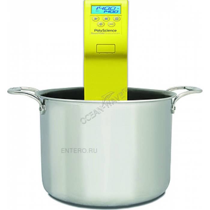 Ротационный кипятильник (термостат) PolyScience DSC-5AC2E - купить в интернет-магазине OCEAN-WAVE.ru
