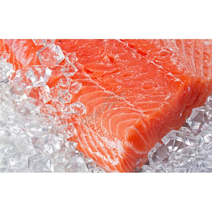 Льдогенератор Icematic F80C A - купить в интернет-магазине OCEAN-WAVE.ru