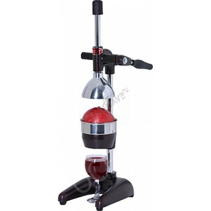 Соковыжималка CanCan CC.MP03 - купить в интернет-магазине OCEAN-WAVE.ru